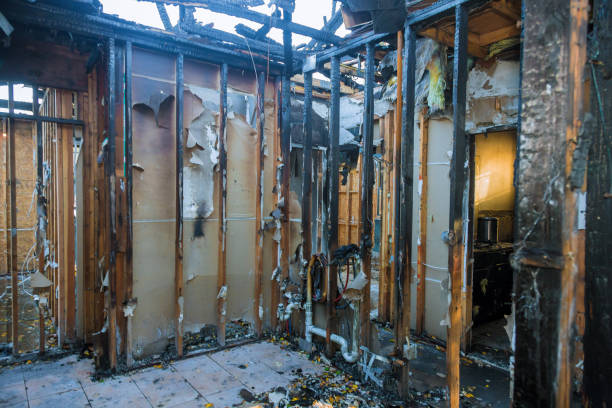 Professional Fire Damage Restoration technician working in Marine, IL